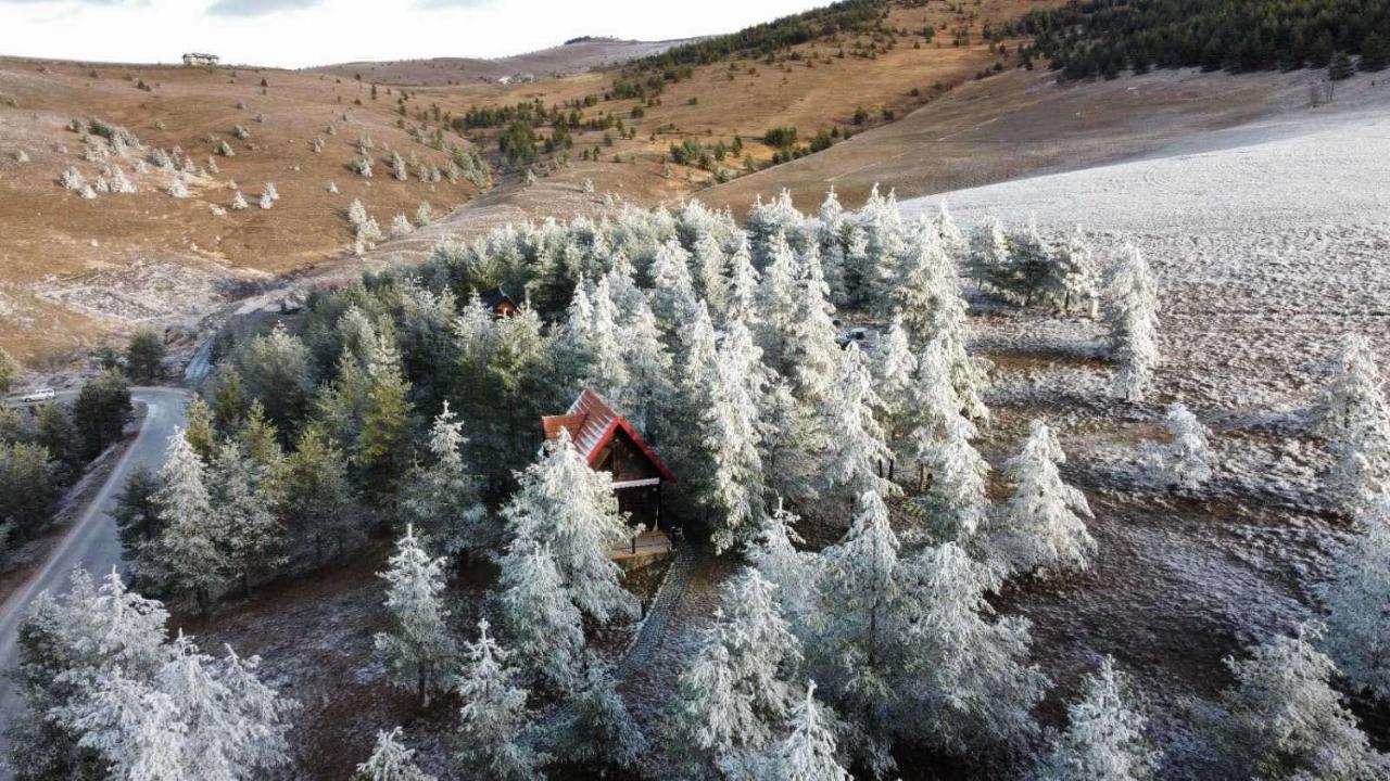 Previja Zlatibor Chalet Villa Exteriör bild