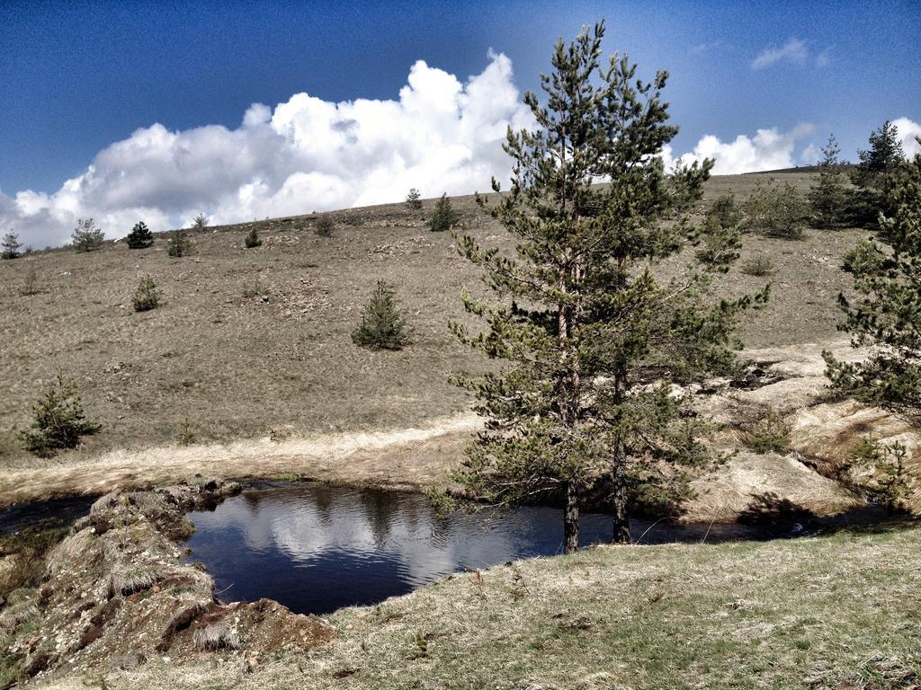 Previja Zlatibor Chalet Villa Exteriör bild