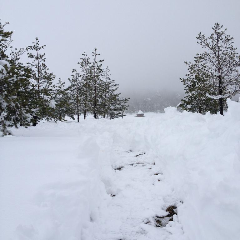 Previja Zlatibor Chalet Villa Rum bild