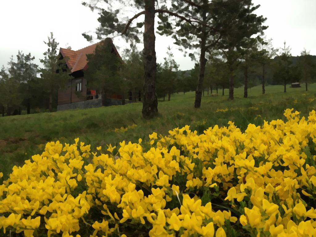 Previja Zlatibor Chalet Villa Rum bild