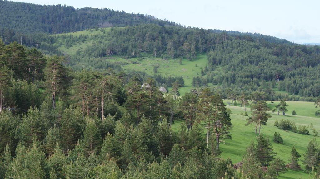 Previja Zlatibor Chalet Villa Exteriör bild