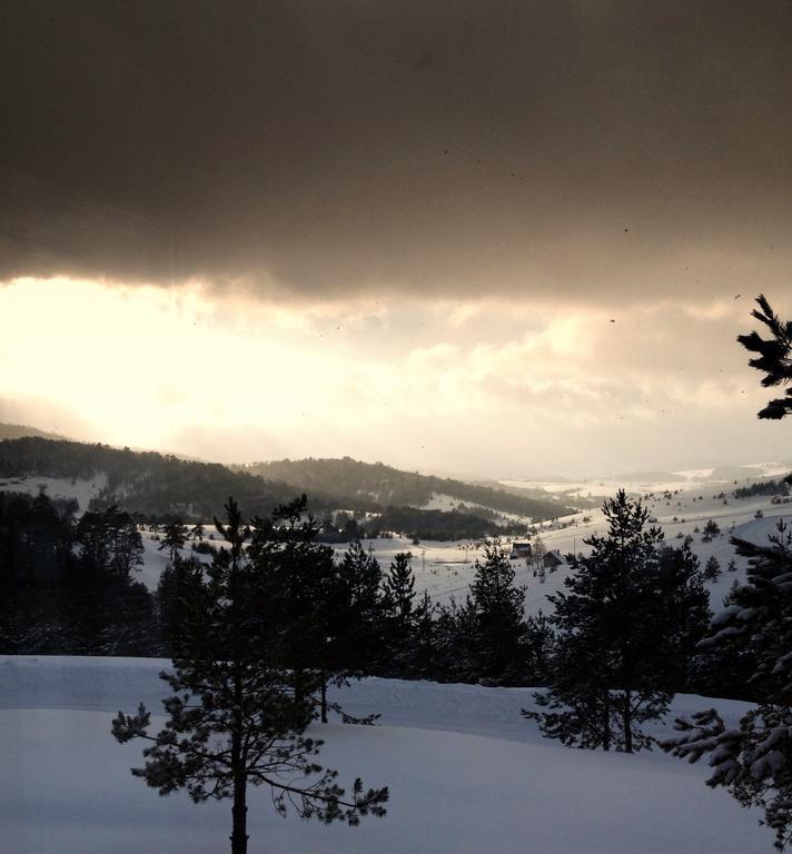 Previja Zlatibor Chalet Villa Rum bild