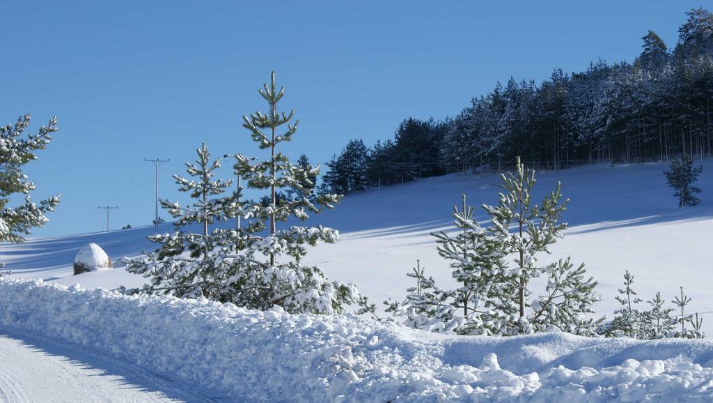 Previja Zlatibor Chalet Villa Rum bild