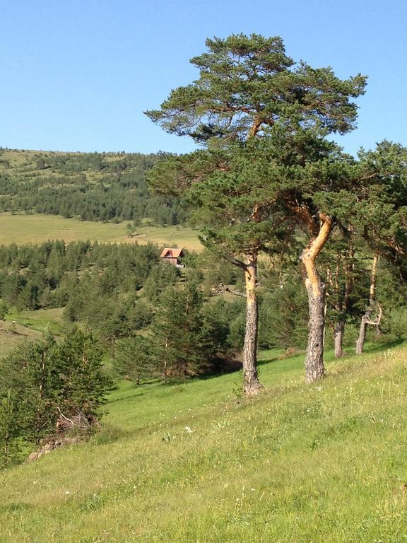 Previja Zlatibor Chalet Villa Rum bild