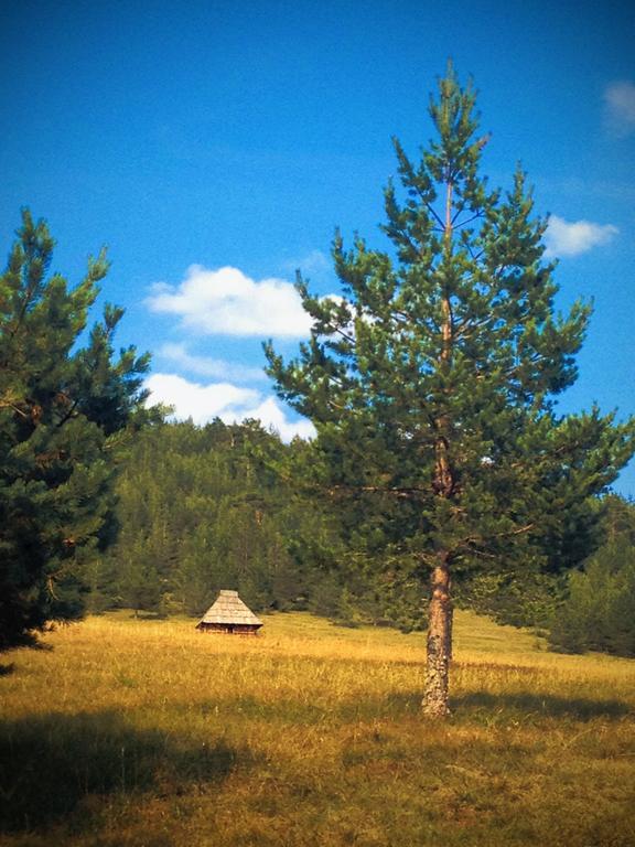 Previja Zlatibor Chalet Villa Rum bild