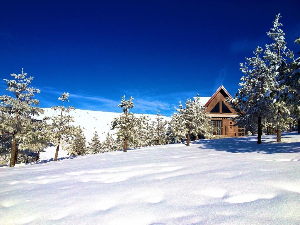 Previja Zlatibor Chalet Villa Exteriör bild