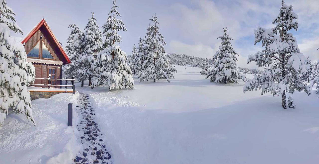 Previja Zlatibor Chalet Villa Exteriör bild