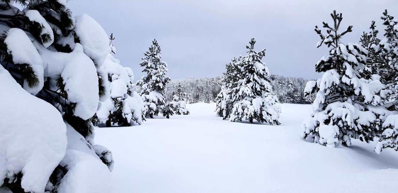 Previja Zlatibor Chalet Villa Exteriör bild